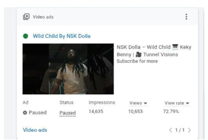 create and manage youtube ads campaign for channel growth